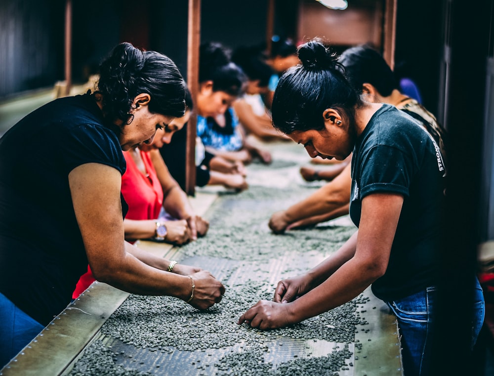 group of women picking beans on gray table