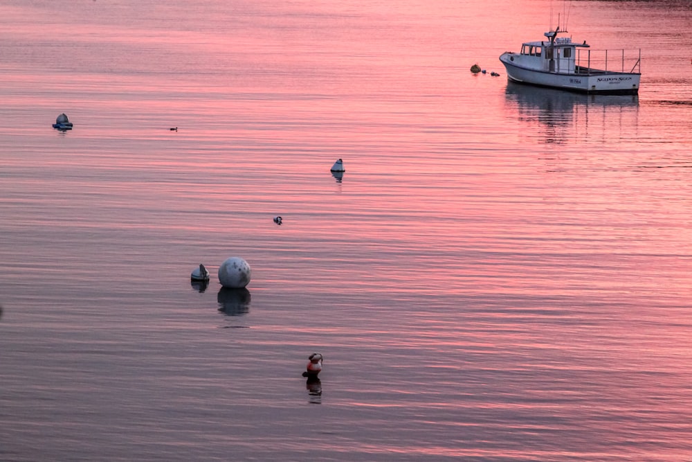 white boat on calm water