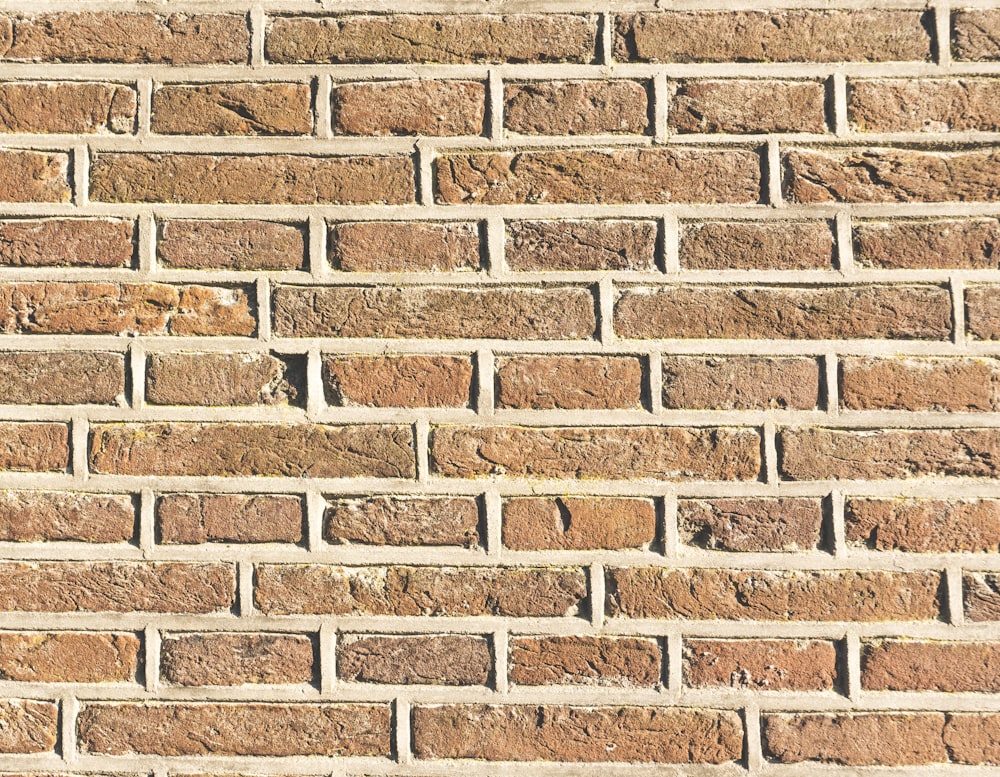 brown wall bricks at daytime