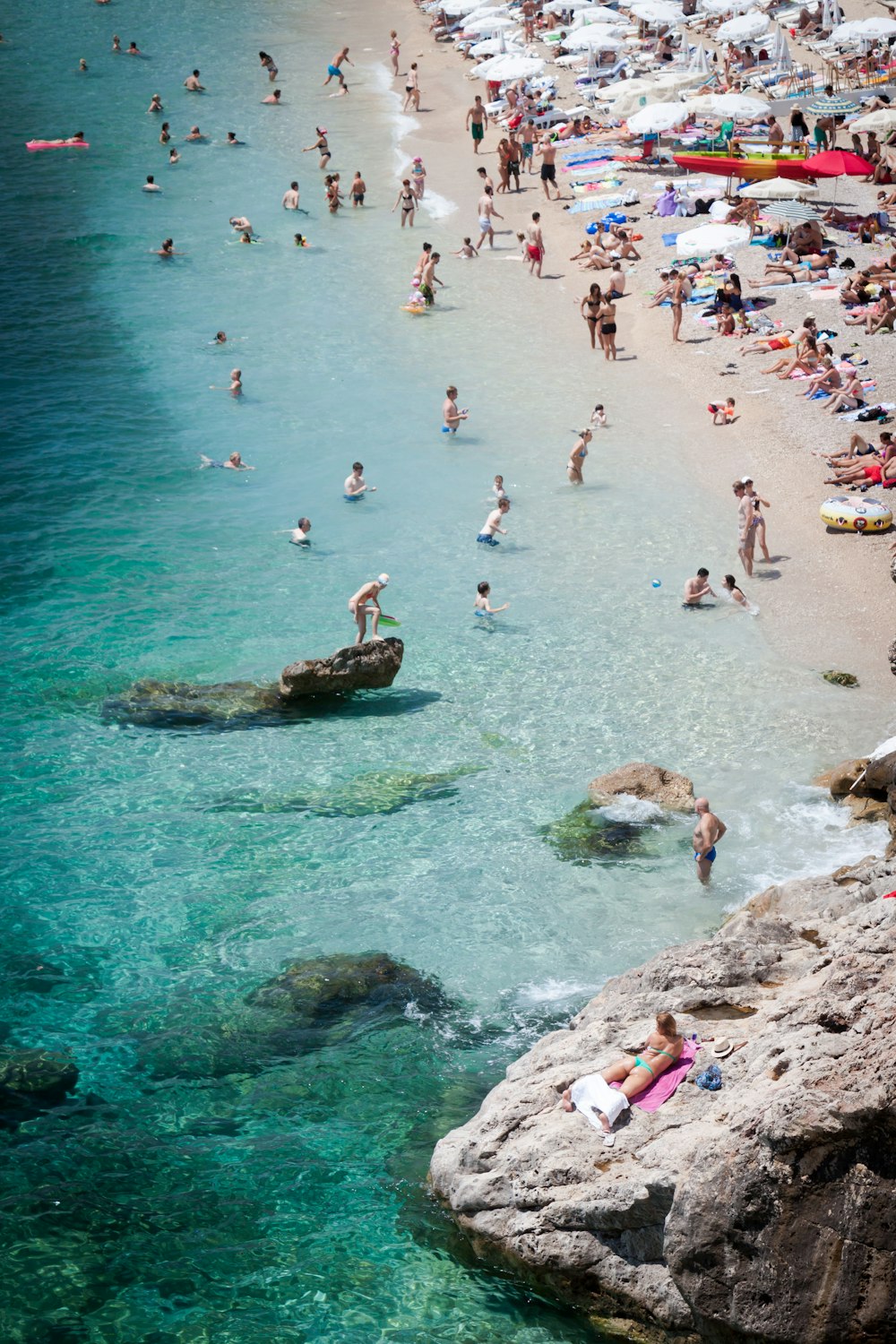 people on seashore