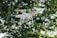 A white quadcopter drone equipped with a camera hovers in front of a blurred background of lush green foliage. The drone is captured in mid-flight, with its propellers creating a slight motion blur.