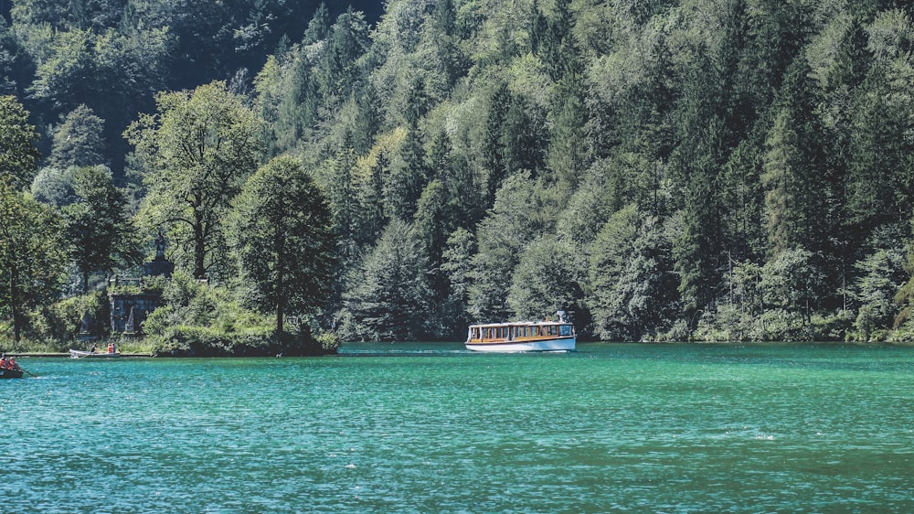 white boat on body of water