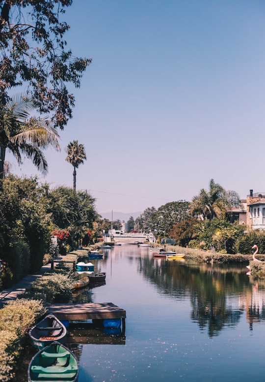 photo of Venice Waterway near Los Angeles