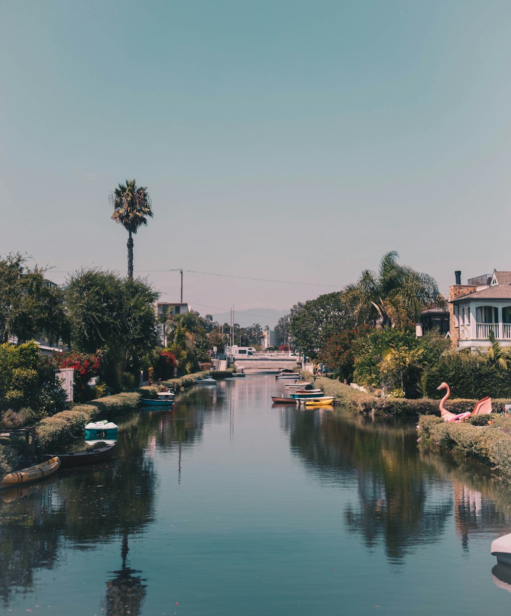 landscape of river