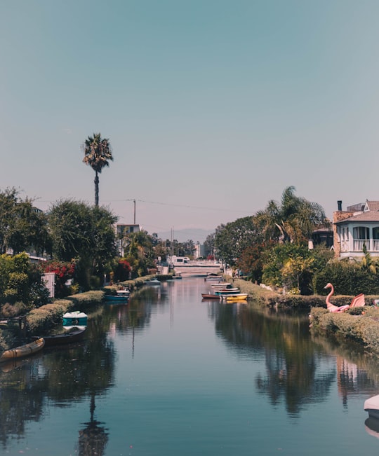 landscape of river in Venice United States