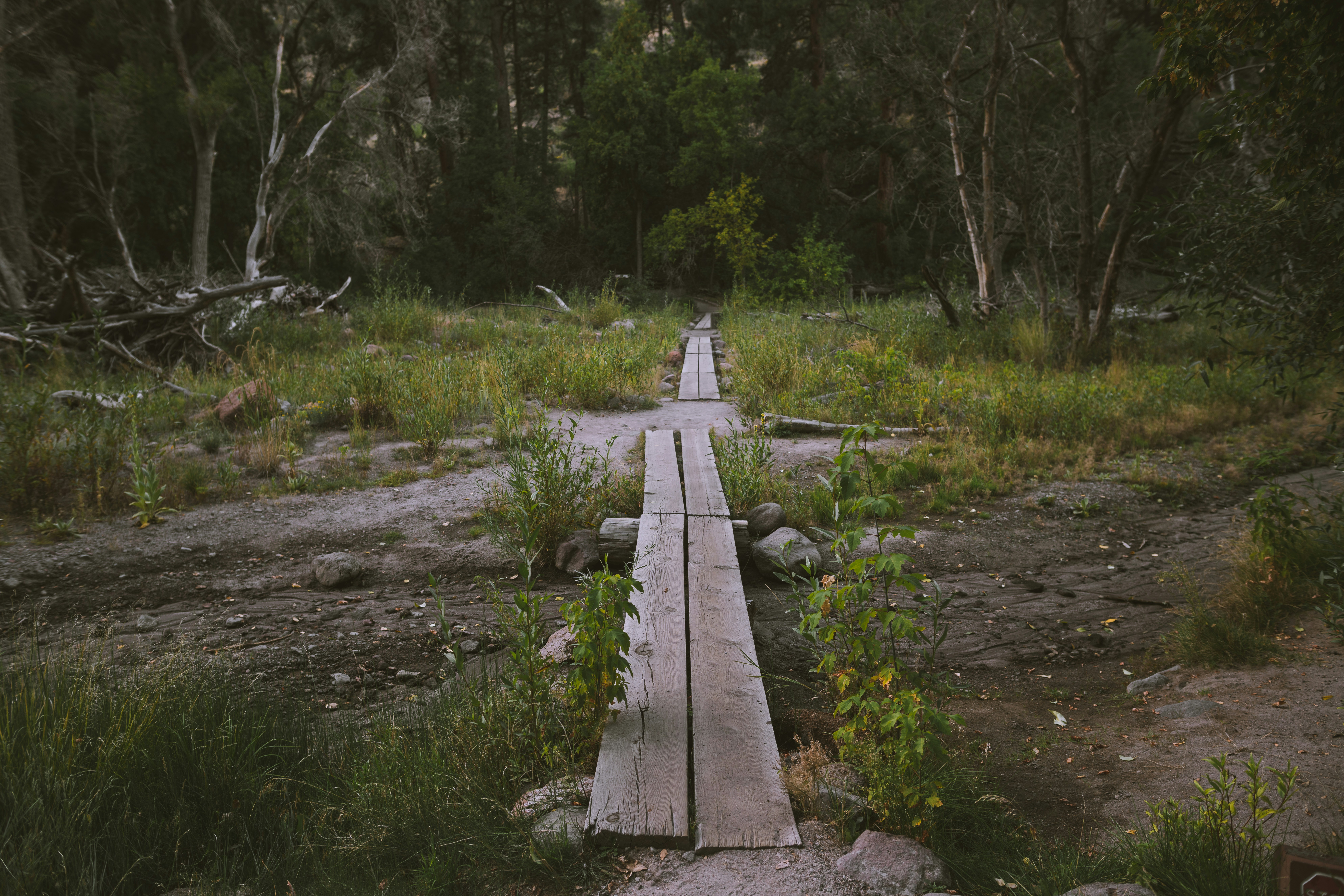 Photo by austinedwards