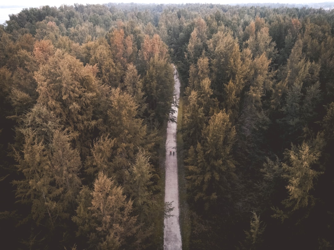 travelers stories about Tropical and subtropical coniferous forests in Serangoon Island, Singapore