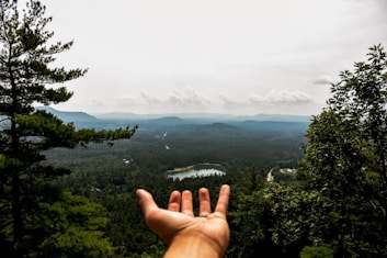 aerial photography of trees near lake under cloudy sky