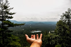 aerial photography of trees near lake under cloudy sky