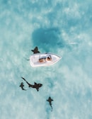 person sun bathing on white inflatable buoy under sunny skies