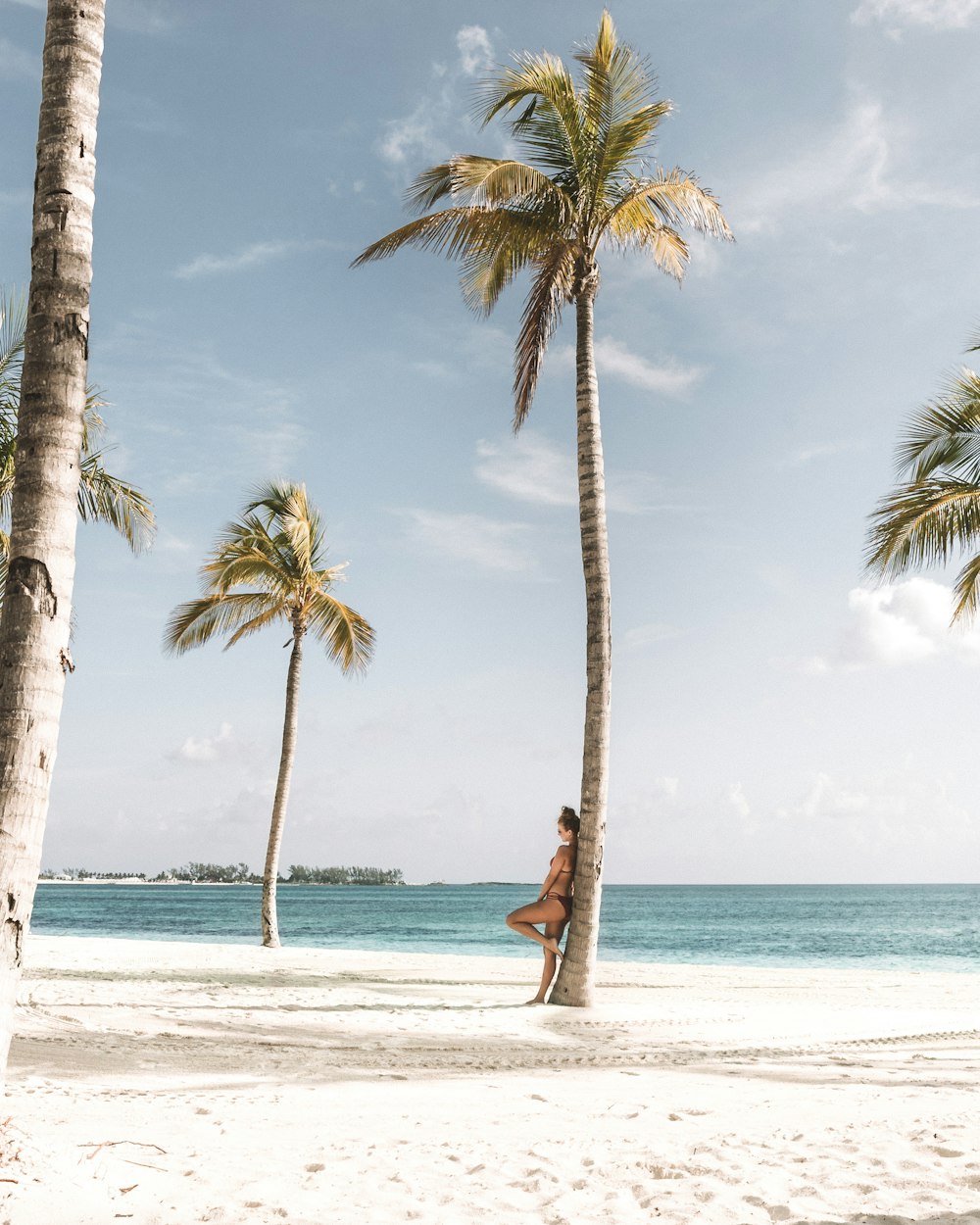 donna che si appoggia all'albero vicino alla spiaggia