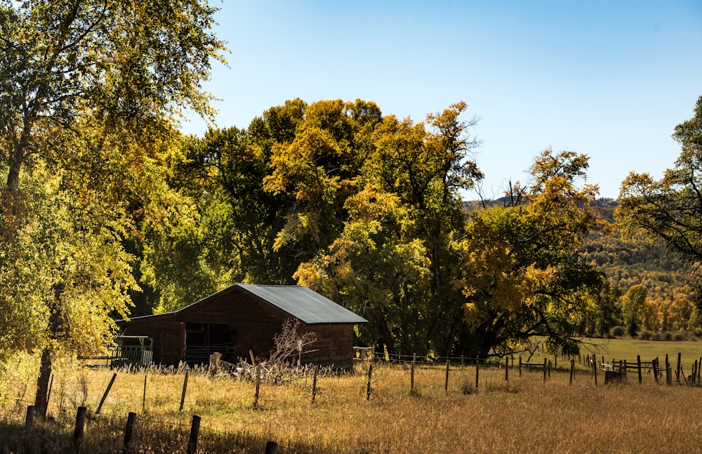 brown wooden house near yellow tree during daytime