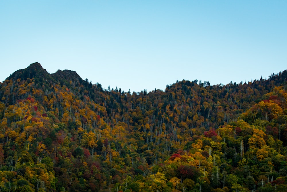 mountains under blue sky