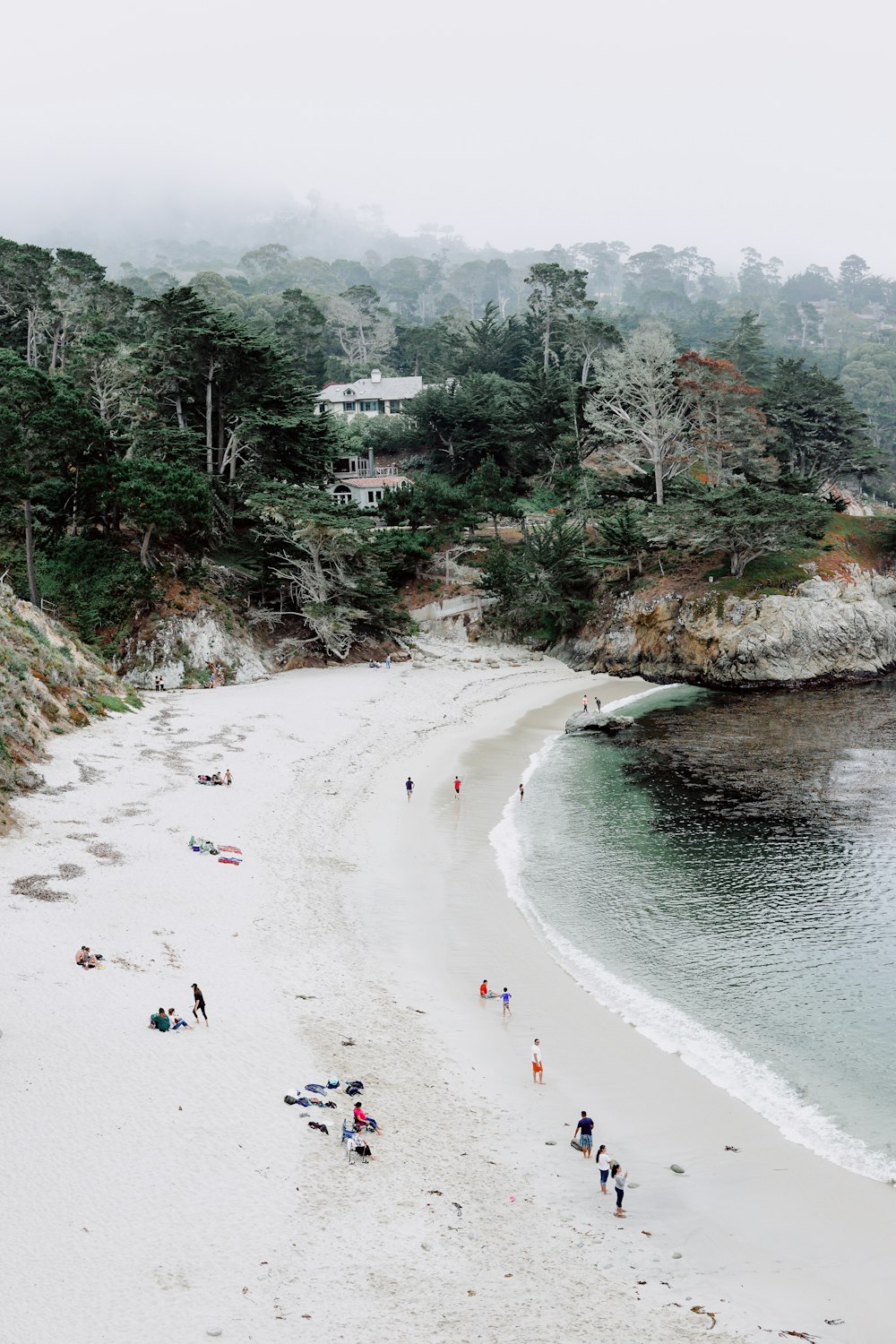 group of people standing beside the seashore