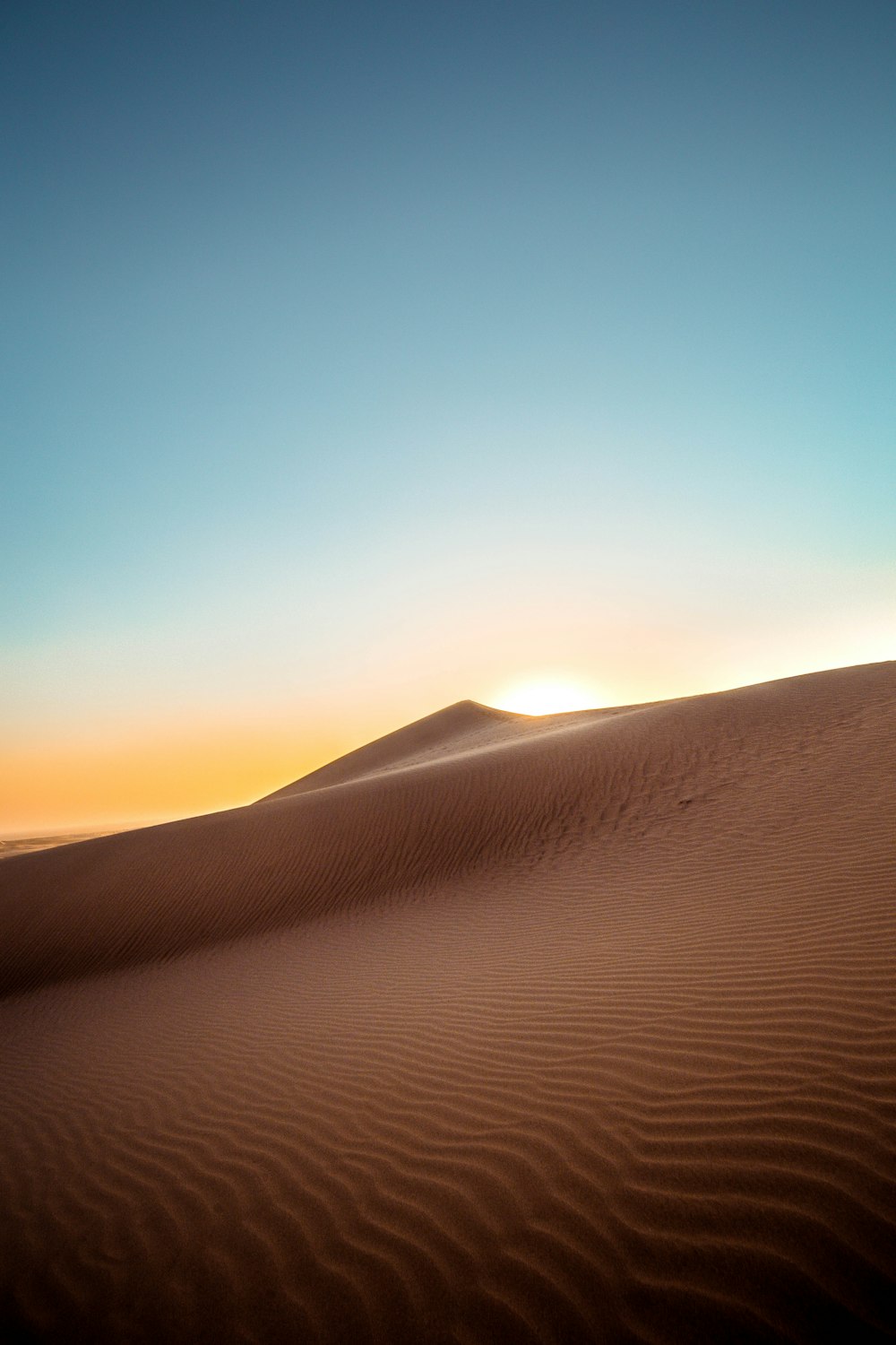 사막의 풍경 사진