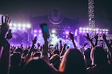 group of people raising there hands in concert