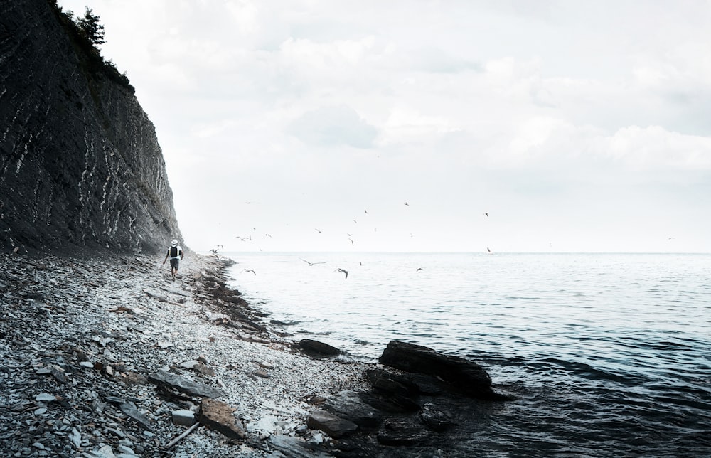 person walking near seashore during daytime