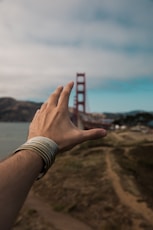 shallow focus photography of hand reading bridge