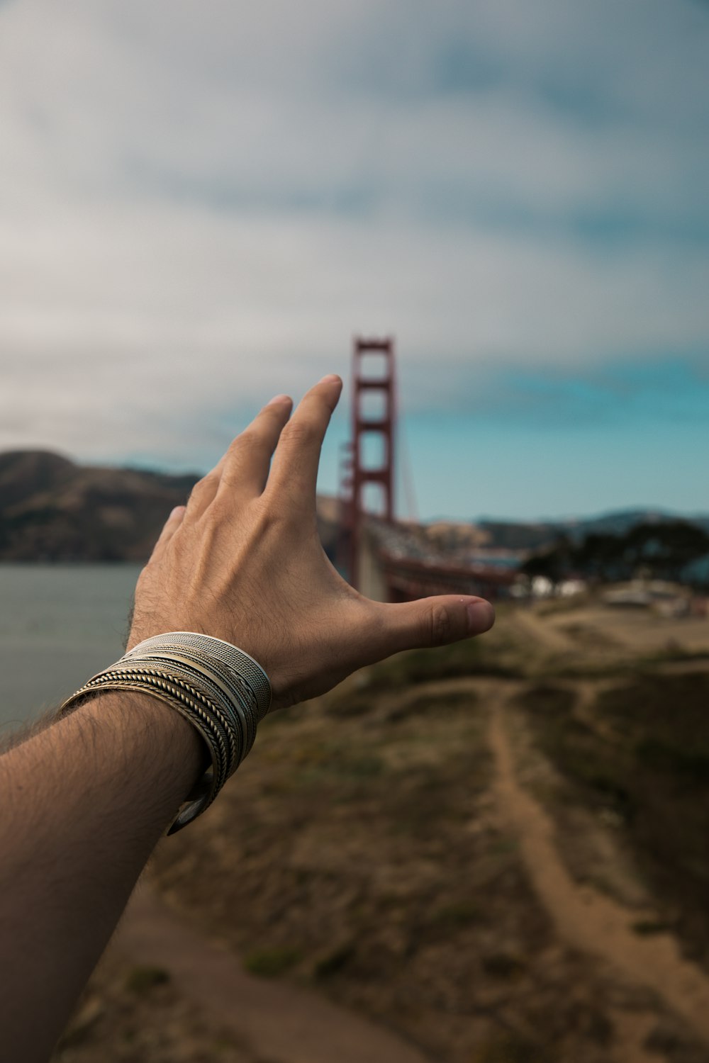 shallow focus photography of hand reading bridge