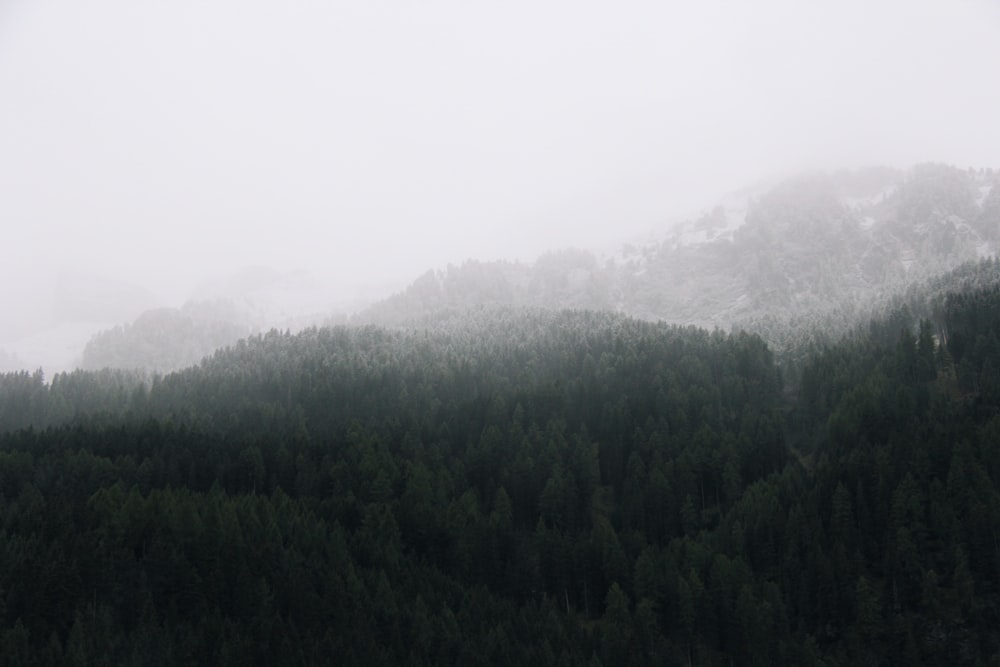 mountain peak during daytime