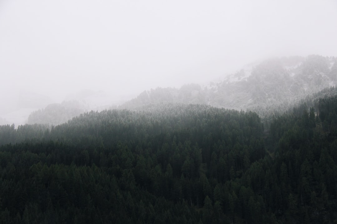 Hill station photo spot Canazei Falzarego Pass