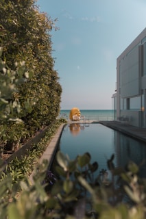 An elegant outdoor space featuring a modern pool and vibrant plants.