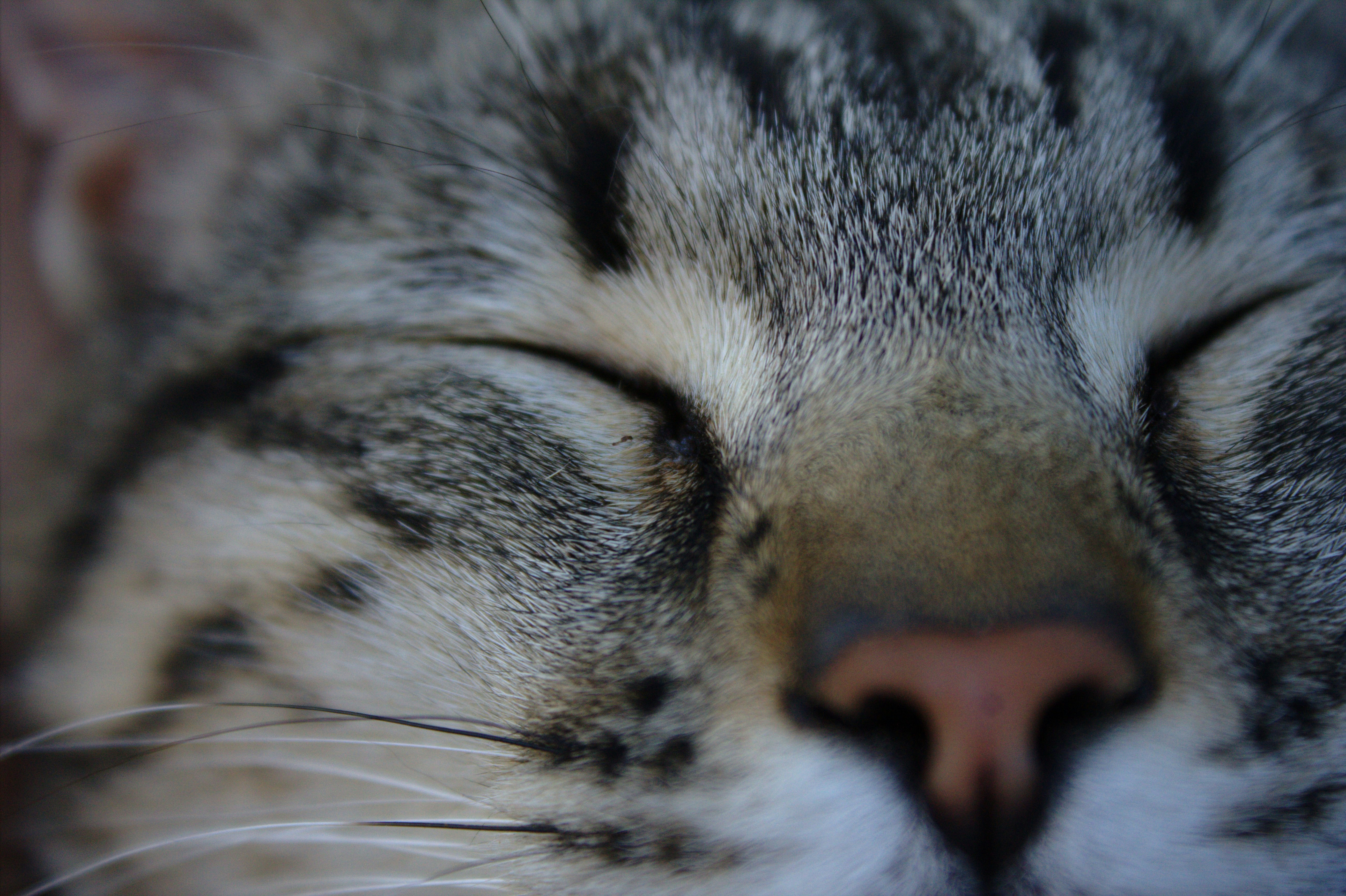 Photography by Daniel Lombraña