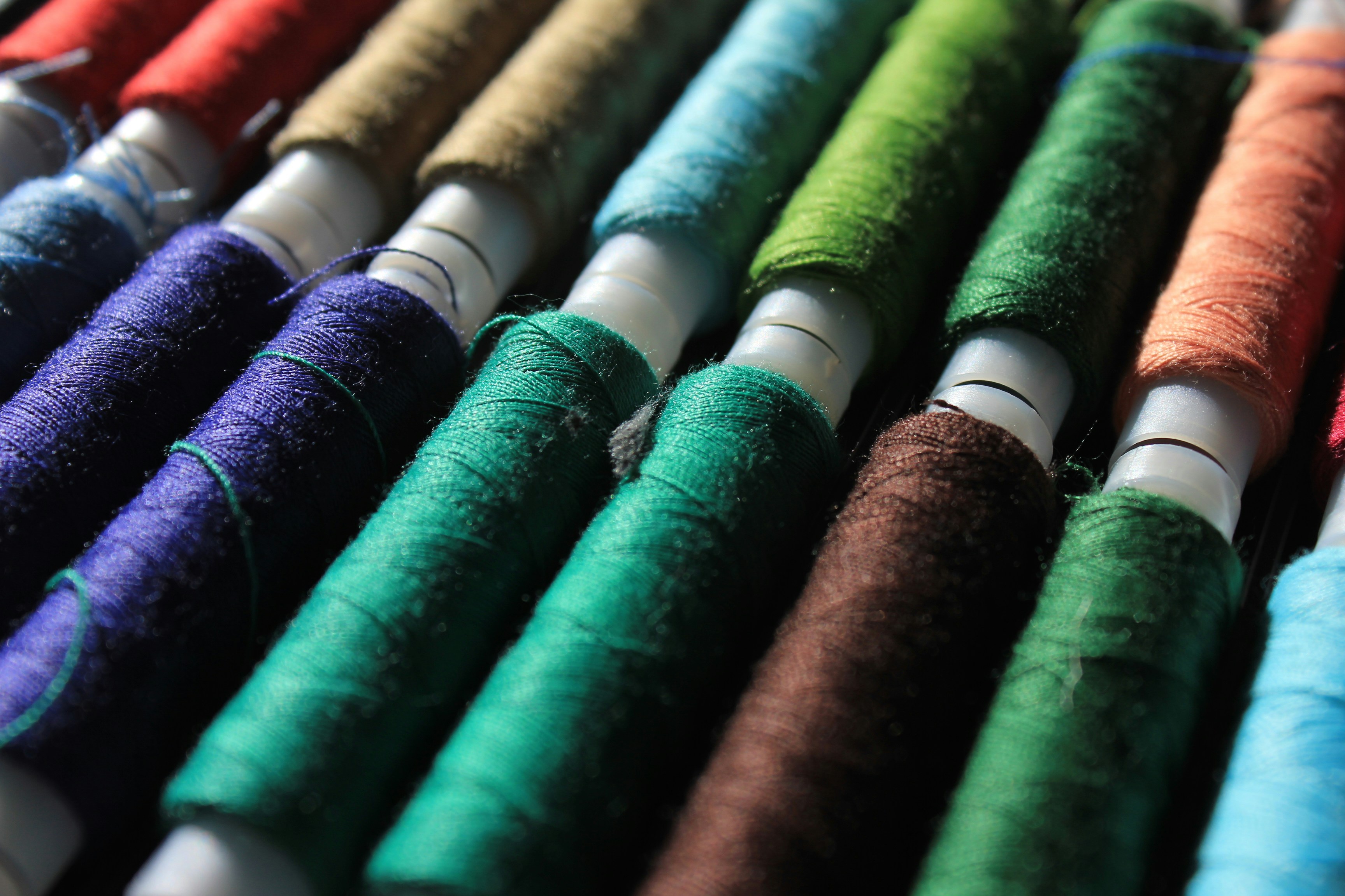 Photography by Daniel Lombraña