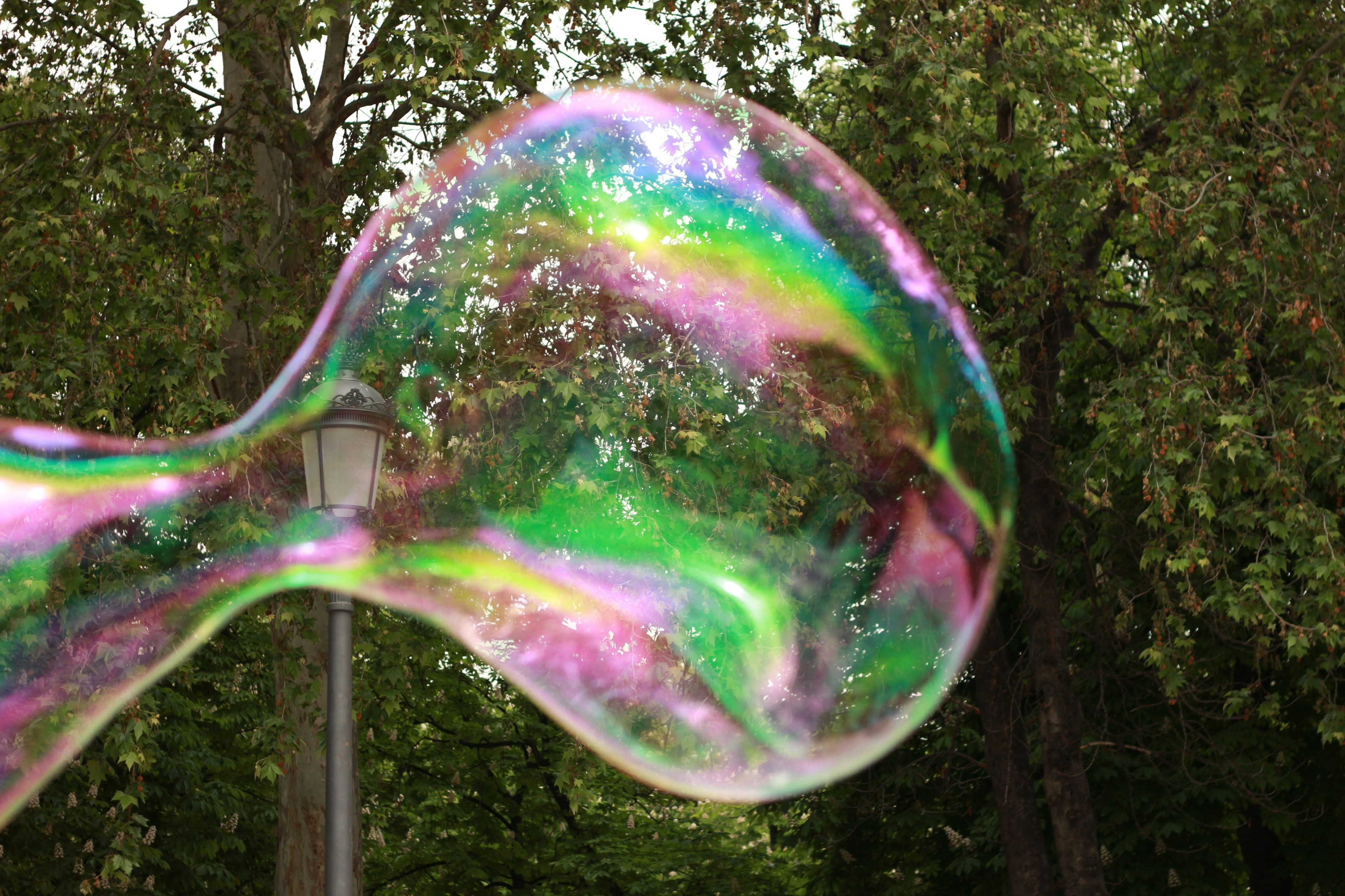 Photography by Daniel Lombraña