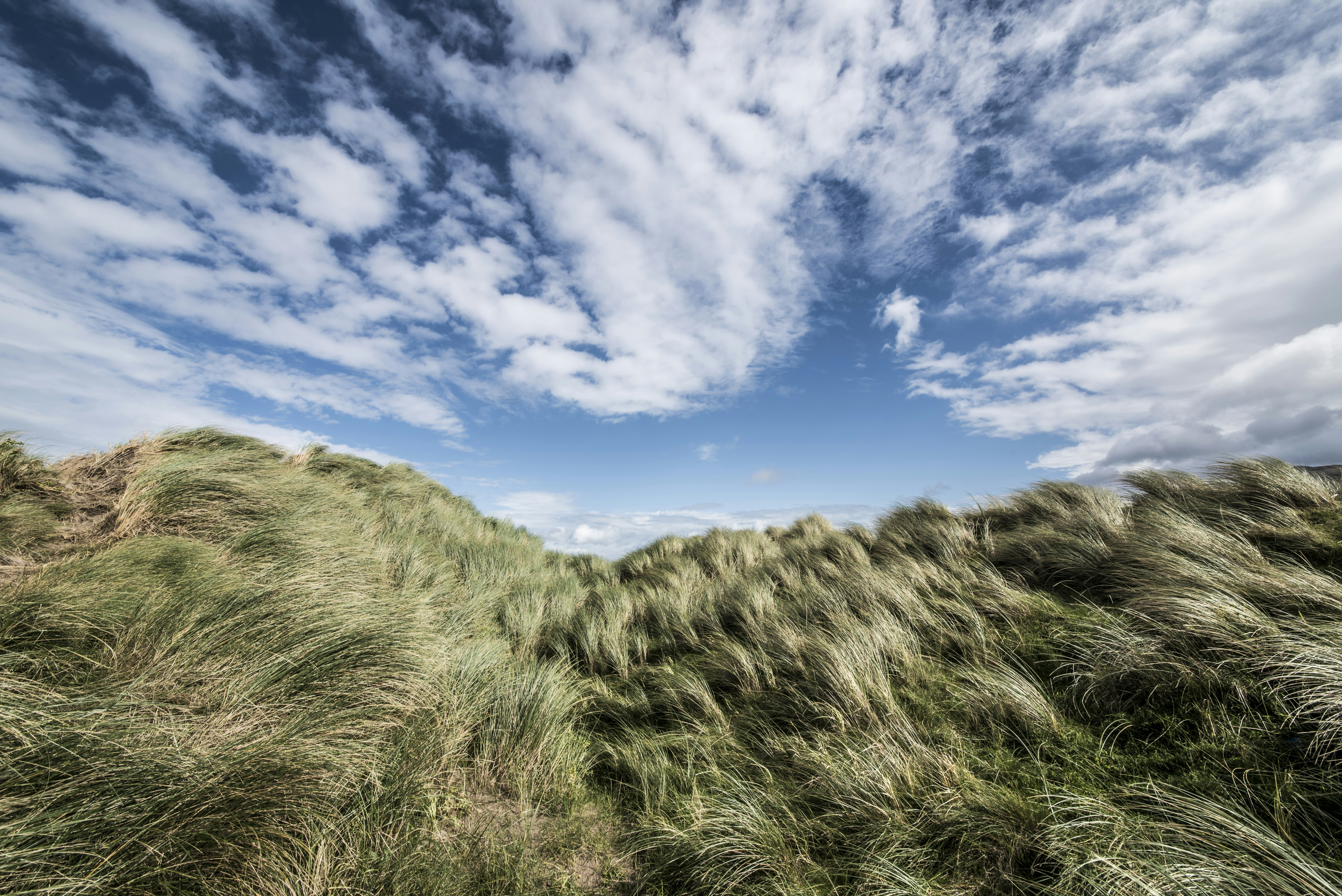 Photo by peterogden4