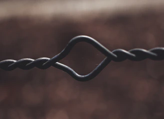 Detailed view of custom wireforms shaped for industrial applications.