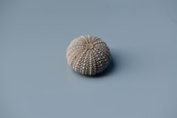 round beige pin cushion