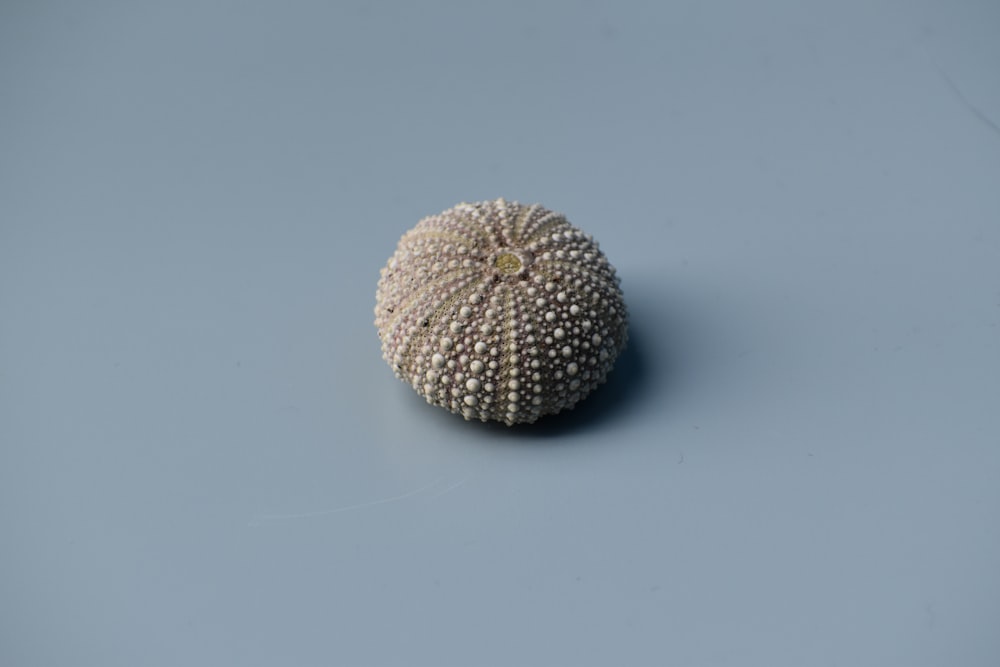 round beige pin cushion