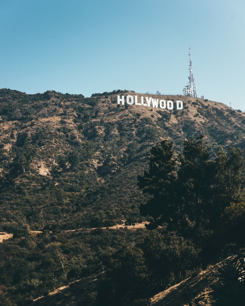 Hollywoodien