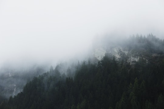 landscape photography of forest with fog in Canazei Italy