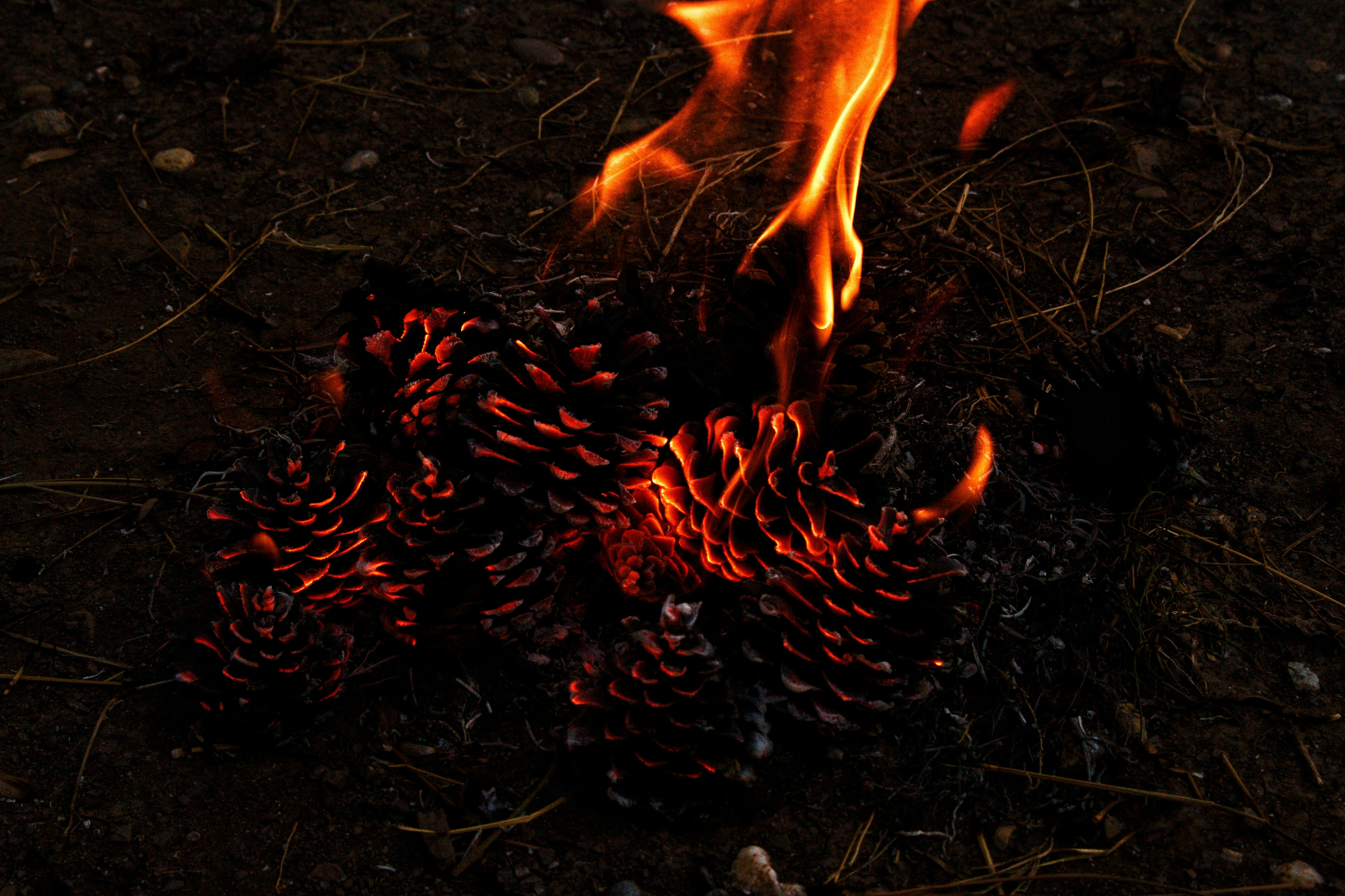 아바타 3 출시일 일정 및 부제 '불과 재' 출연진과 새로운 부족 정보 총정리 이미지2