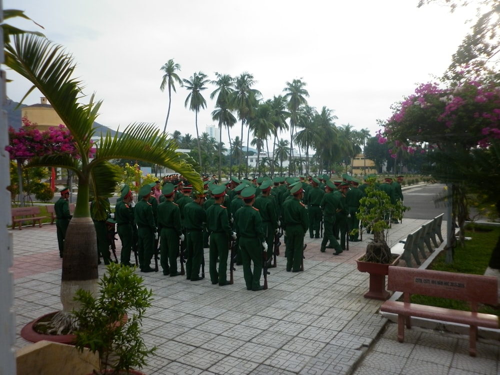 soldier near pink petaled flowers