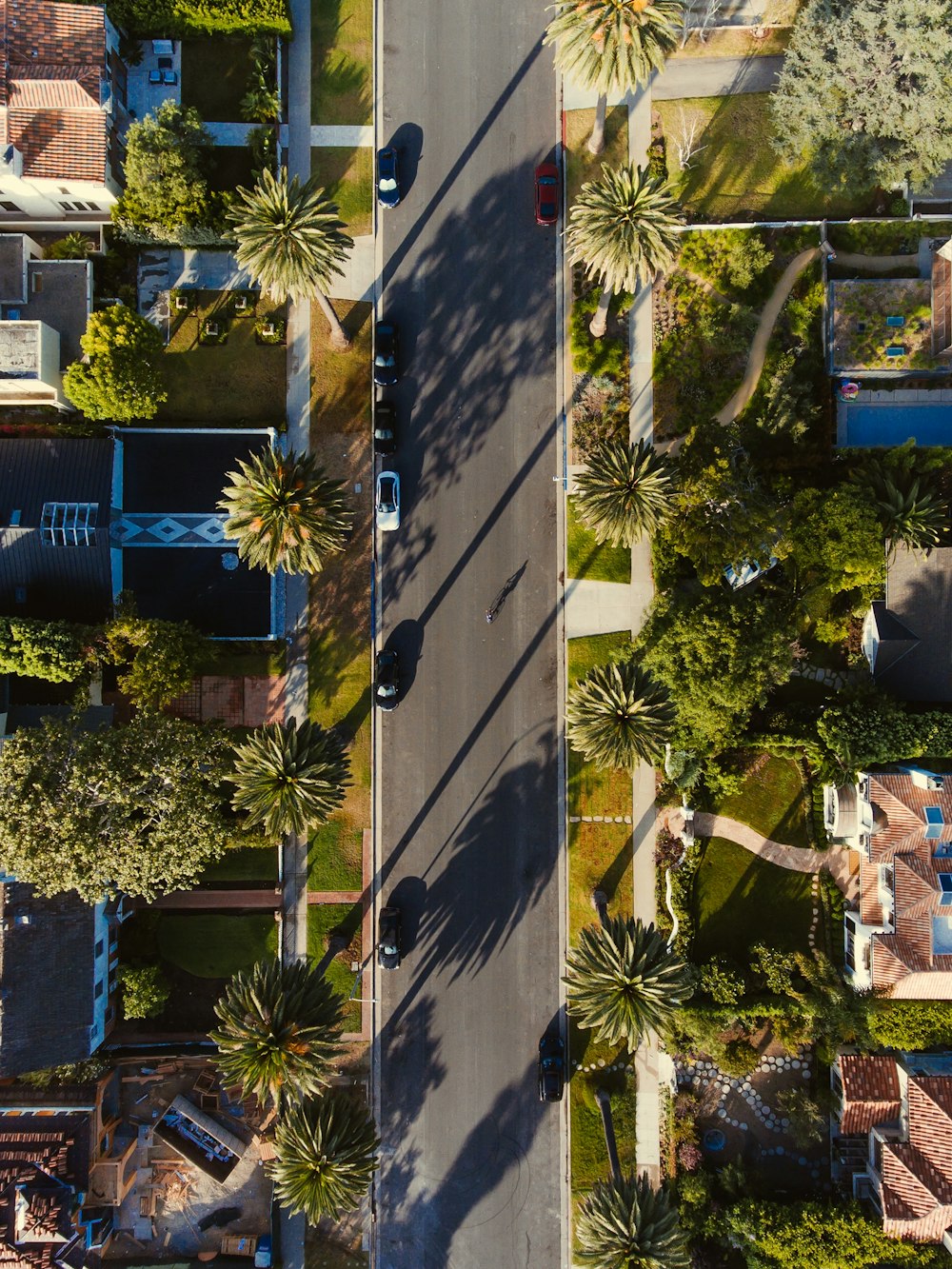 bird's eye view of road