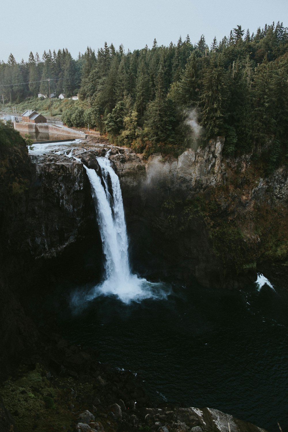 waterfall on brown rocks near forest