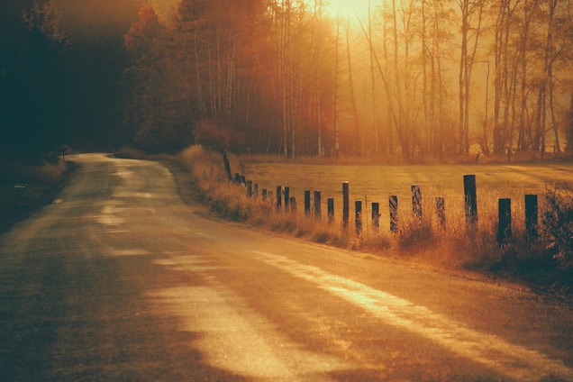 A winding country road lined with tall trees under a golden sunset sky.