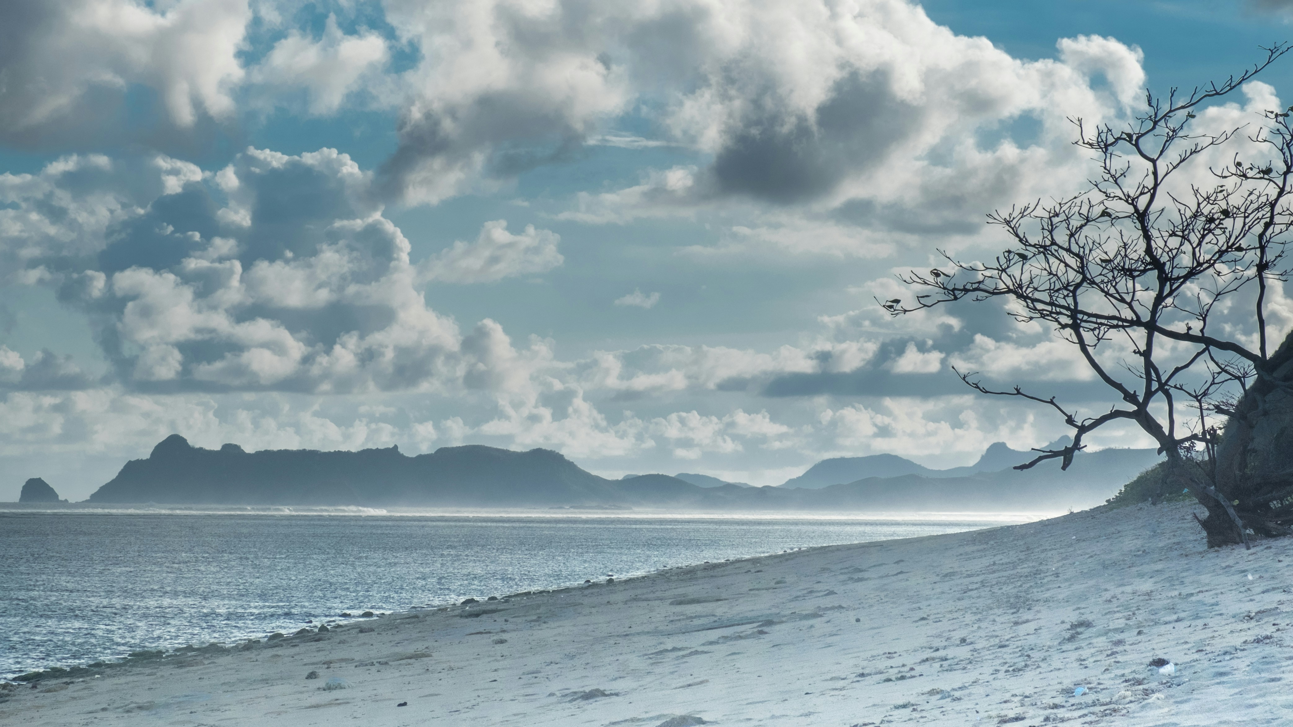 Photo by prakosasurya