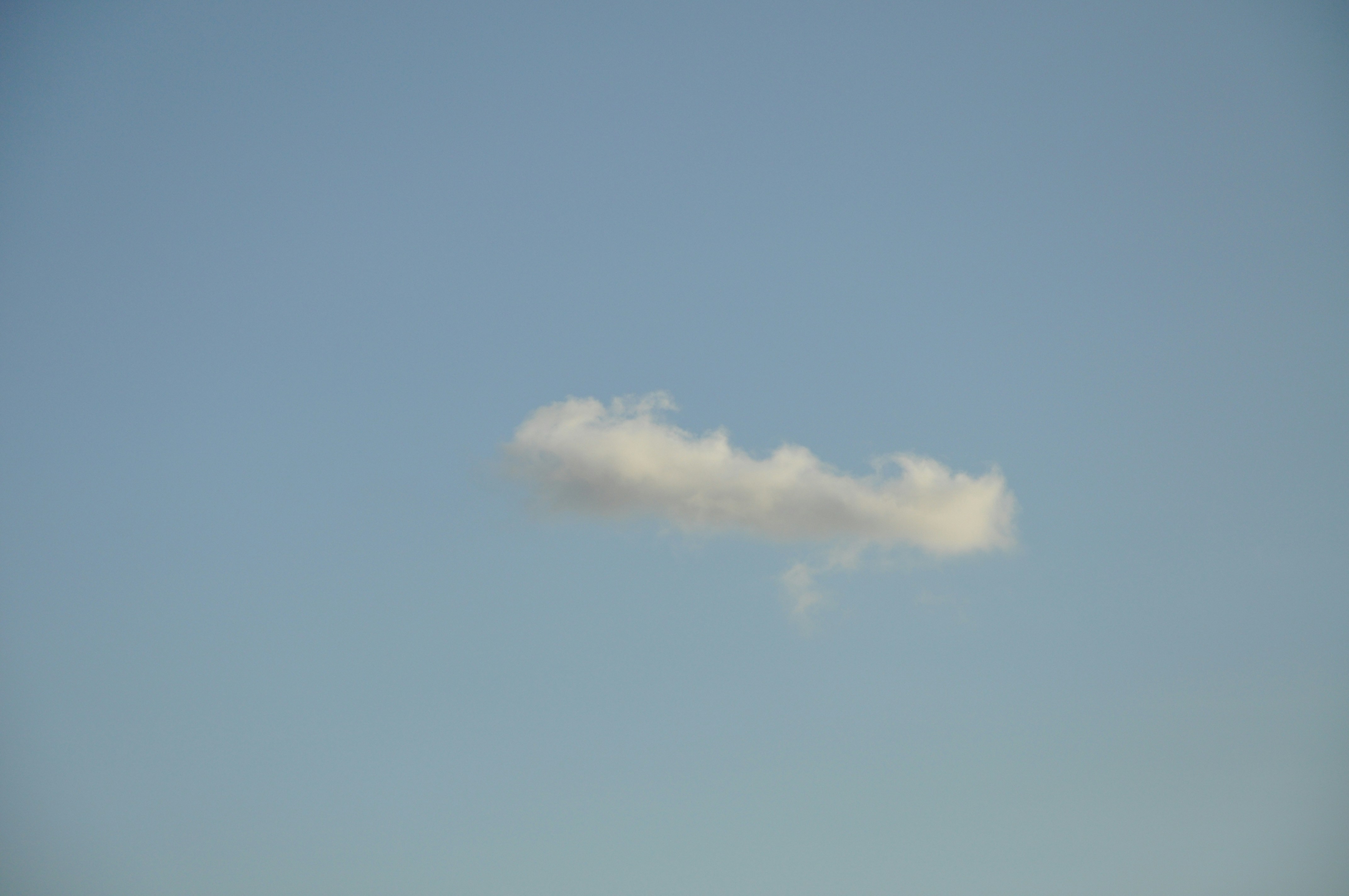 Blue Cloud Softech Solutions: A Multibagger Small-Cap Stock Journey