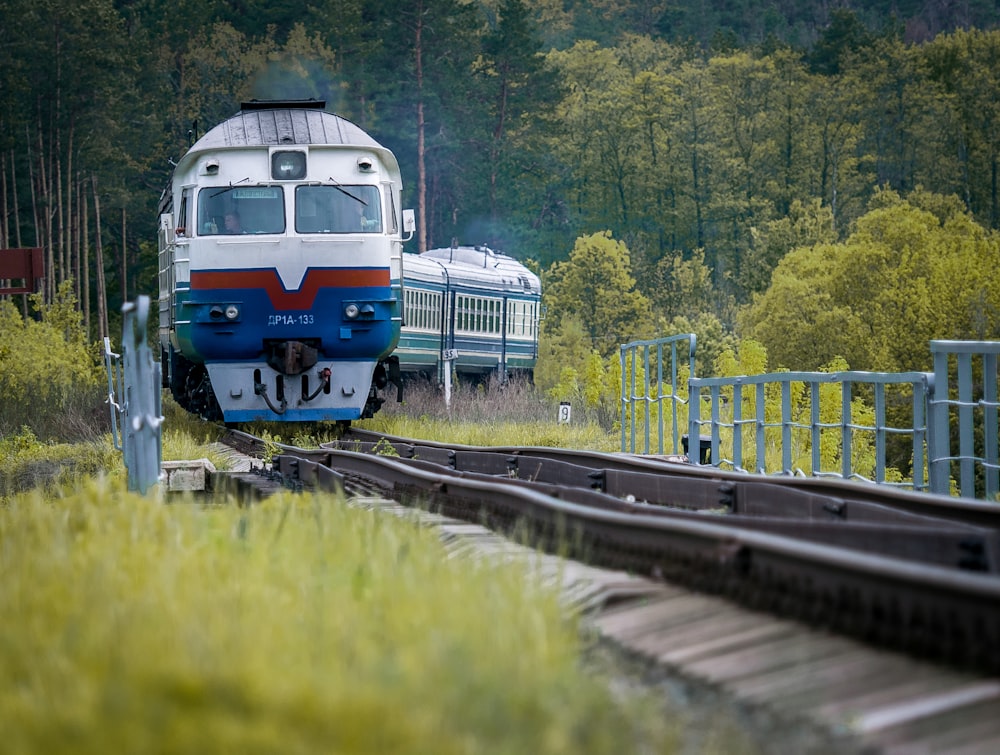 white and blue train