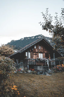 A cozy wooden cabin surrounded by lush green coffee plants under a bright sky.