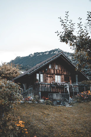 A cozy wooden cabin surrounded by lush green coffee plants under a bright sky.