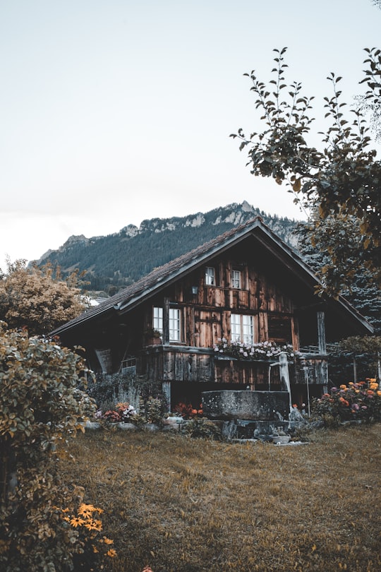 brown wooden house surrounded with green plants and trees in Sigriswil Switzerland