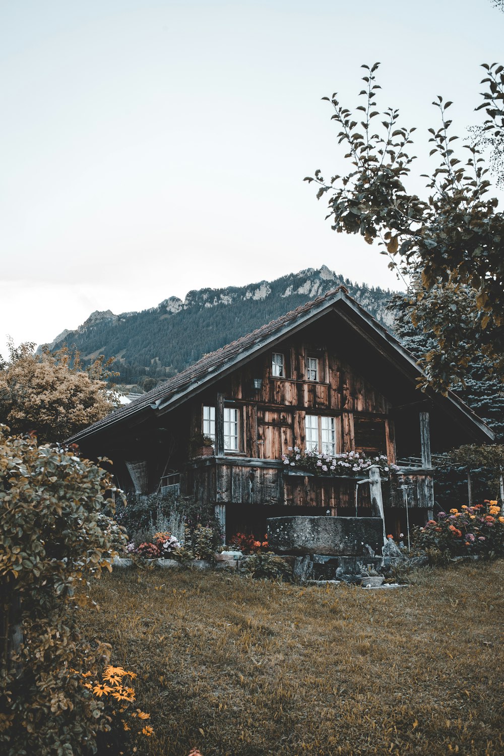 brown wooden house surrounded with green plants and trees