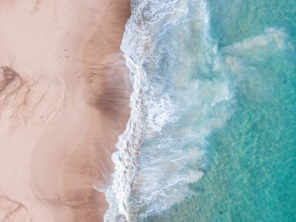 uma vista aérea de uma praia de areia e oceano