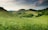 green hills with forest under cloudy sky during daytime