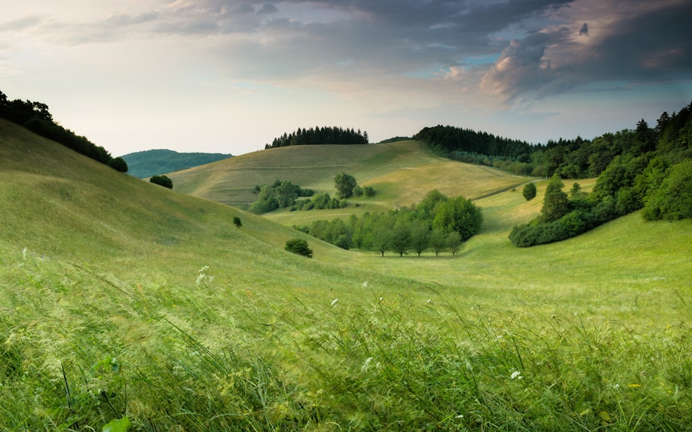 Grüne Hügel mit Wald unter bewölktem Himmel am Tag